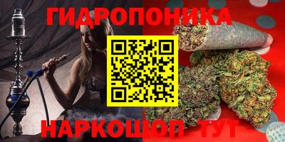 эйфоретик Кинель