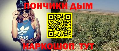 метадон Кингисепп