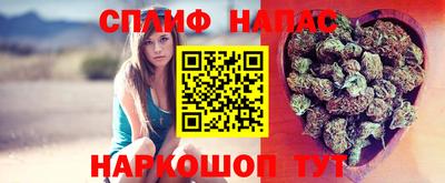 эйфоретик Кинель