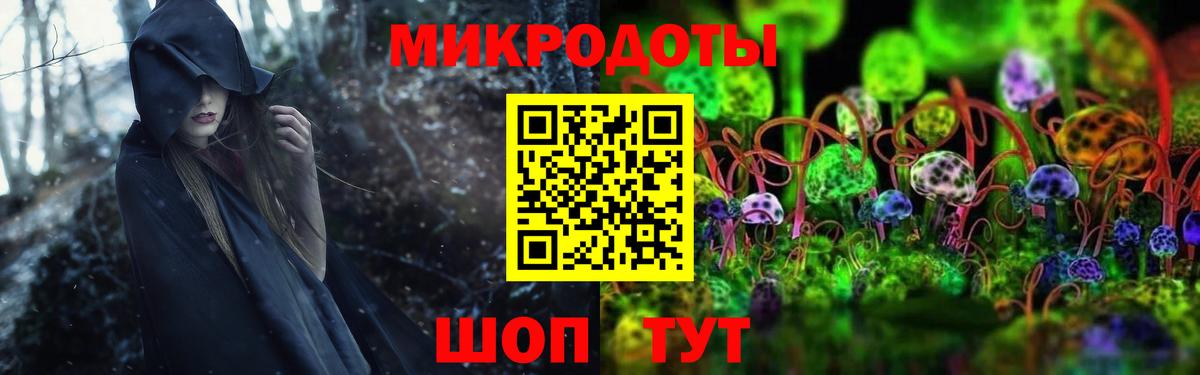 Буйнакск  Псилоцибиновые грибы MAGIC MUSHROOMS  Вход с VPN 