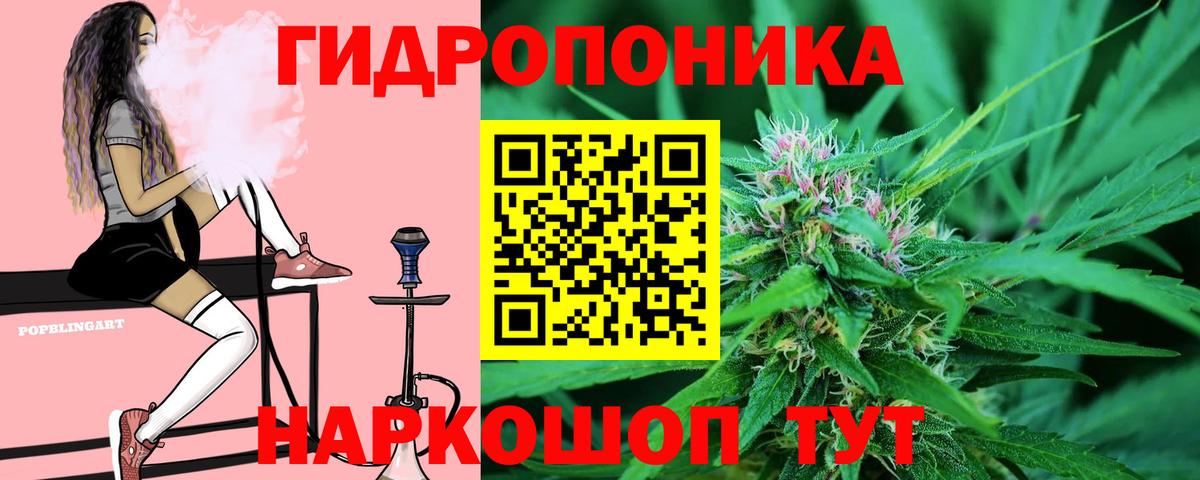 МАРИХУАНА план  Бошки марихуана конопля  Канабис Ganja  Буйнакск  Вход с VPN 